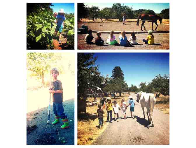 $25 Root Farm Bucks towards riding lessons or summer camp