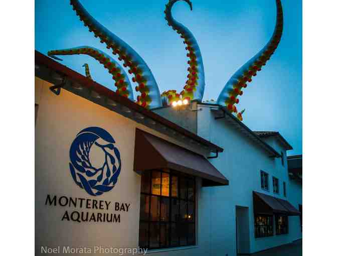 Amazing Monterey Plaza Hotel & Spa Escape- 3 Nights plus 4 Aquarium Passes!