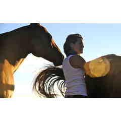 Sasha Nelson Animal Reiki