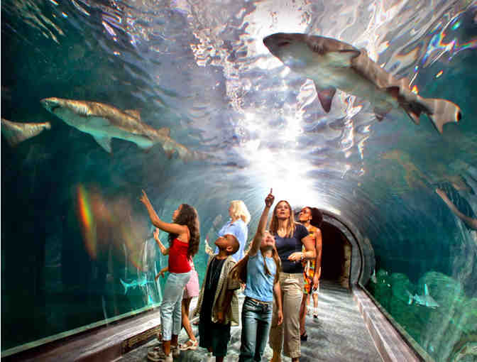 Aquarium of the Pacific - 2 Admission Tickets - Photo 1