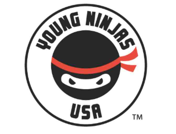 Ninja Birthday Party for 10 kids from Young Ninjas USA - Photo 1