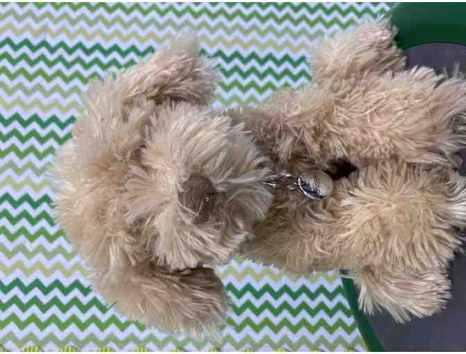 VW: Take Home Ms. Turner's Class Pet, Snuggles