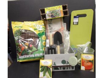 Backyard fun: Birds & Garden