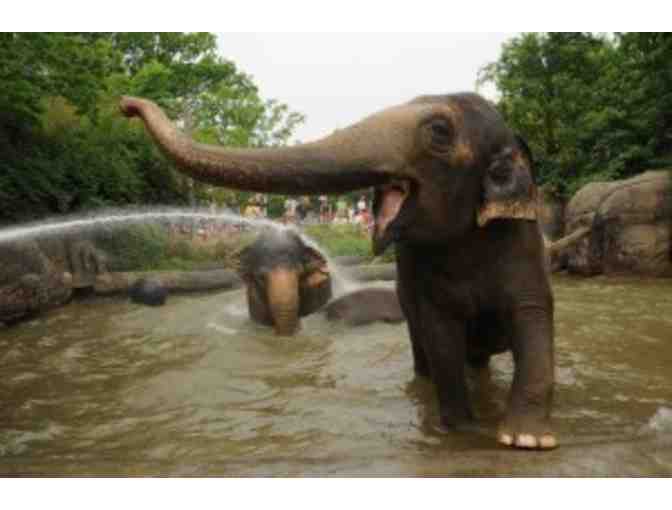 Behind the Scenes Experience at The Cincinnati Zoo for 5 People