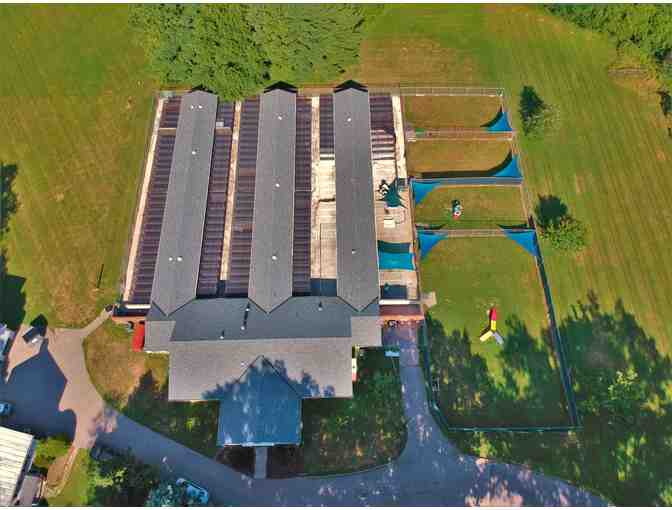 Best Friends Doggie Care Basket