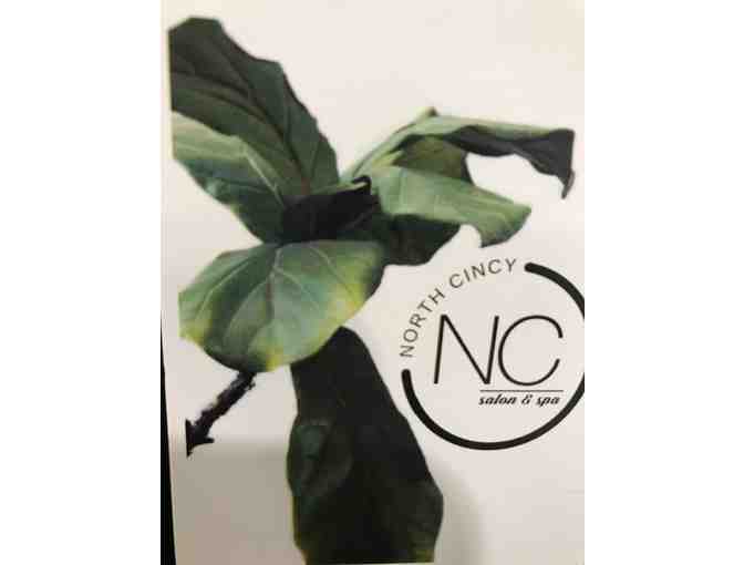 $50 Gift Certificate for North Cincy Salon & Spa