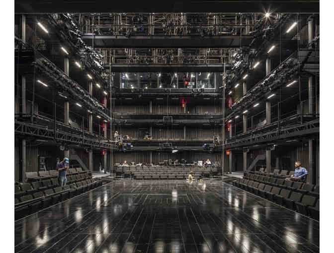Brooklyn's Theatre for a New Audience