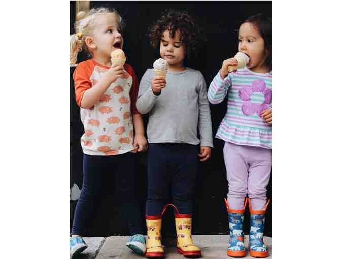 Ice Cream Party for 20 at Blue Marble