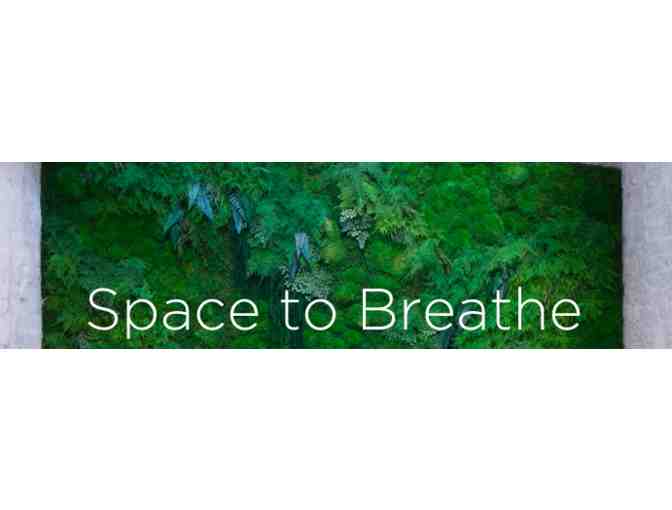 Body & Mind Wellness Package: Sauna/Meditation/ManiPedi Magic!