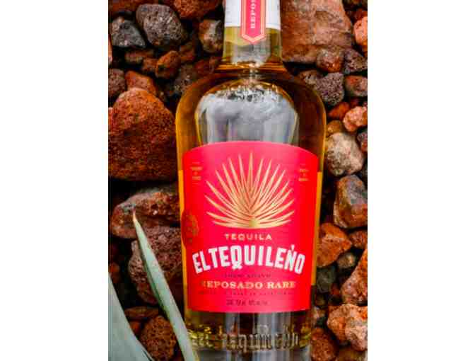 Tequila Tasting Getaway & Boutique Hotel in Mexico!