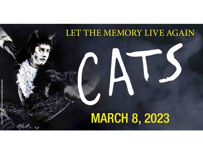 CATS VIP Experience at the Clay Center - Photo 1