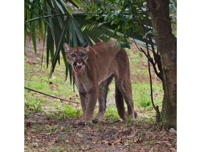 Go on an Adventure to Charles Towne Landing with Miss Marsha and Mr. Ryan!