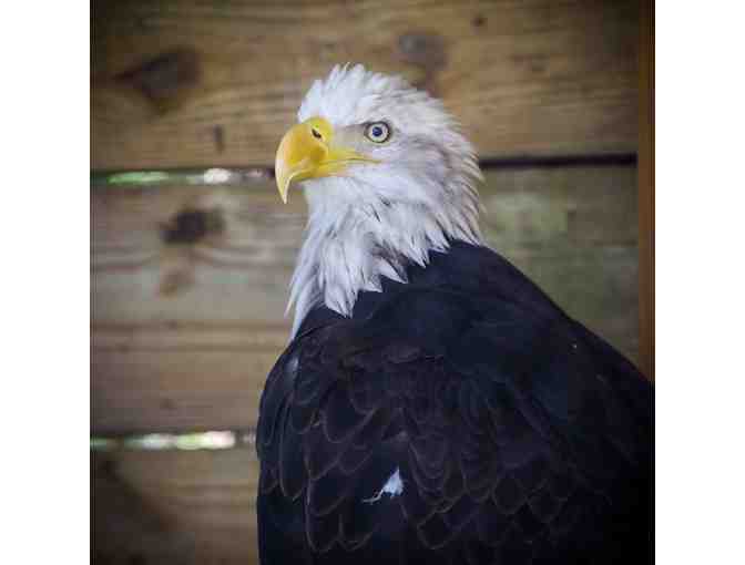 Go on an Adventure to Charles Towne Landing with Miss Marsha and Mr. Ryan!