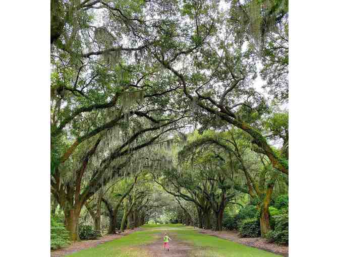 Go on an Adventure to Charles Towne Landing with Miss Marsha and Mr. Ryan!