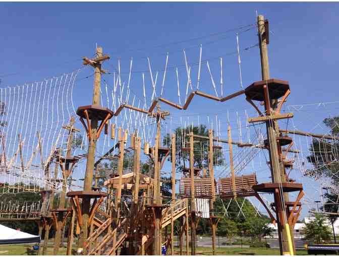 Swing in the Canopy with Miss Subhadra and Miss Beth!