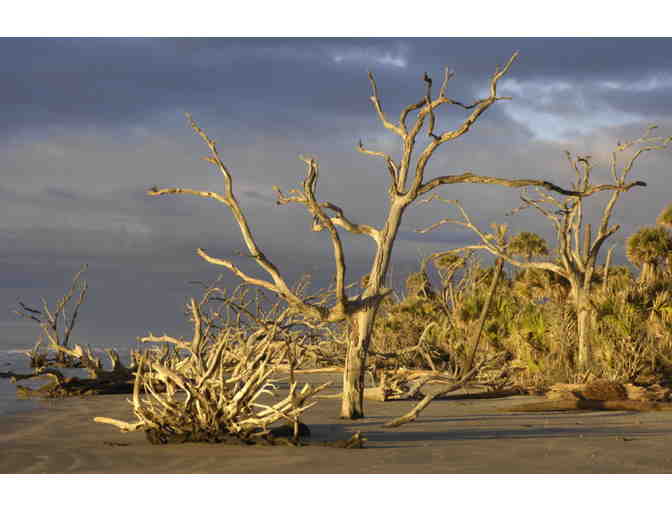 Hop Aboard a Ferry and Explore an Island with Mr. Temani and Miss Hillary!