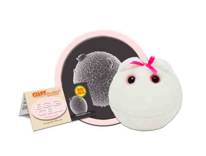 Collection of Giant Microbes