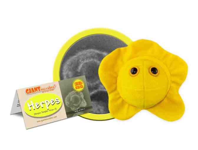 Collection of Giant Microbes