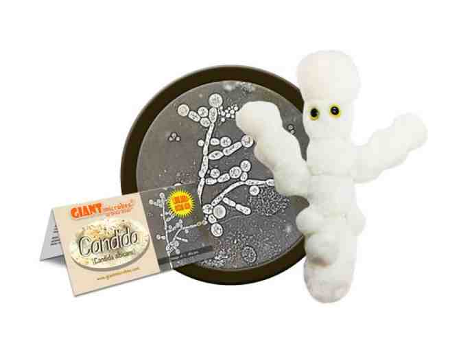 Collection of Giant Microbes