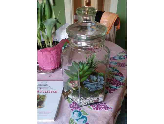 Extra Large Terrarium & How-To Book