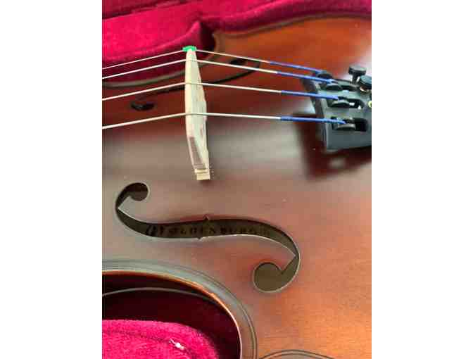 Oldenberg Violin Outfit