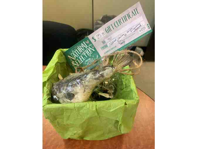 Natural Selection Gift Certificate and Items