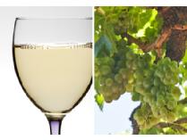 Wine Tasting at Chimichurri Grill For You and Five Guests