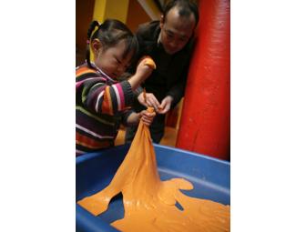 New York City Family Excursion