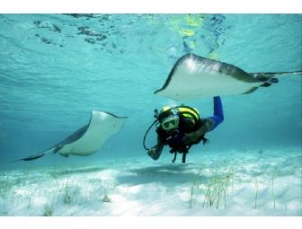 SCUBA Diving Adventure in Turks & Caicos