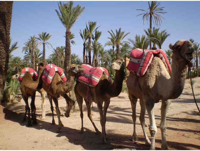 Magical Week-Long Morocco Dream Vacation WITH AIRFARE!