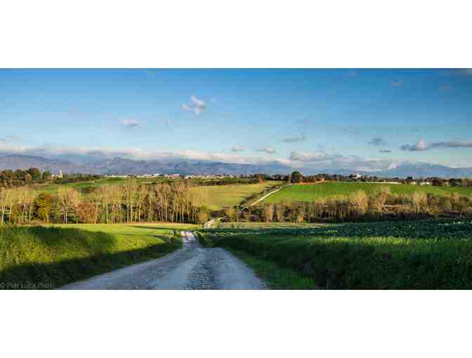 Enchanting Week in Italy at LA FELICINA in TUSCANY & THE AMAN in VENICE with Airfare