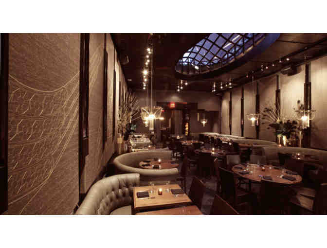 Two GOLD GIRL Necklaces & BEAUTY AND ESSEX Gift Certificate