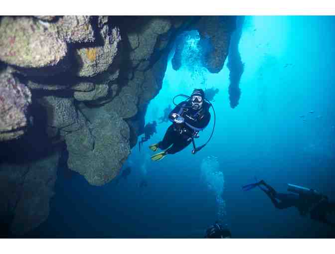 A TROPICAL DIVING DREAM VACATION IN BELIZE