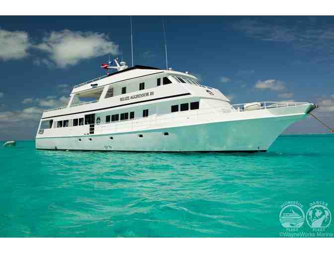 A TROPICAL DIVING DREAM VACATION IN BELIZE