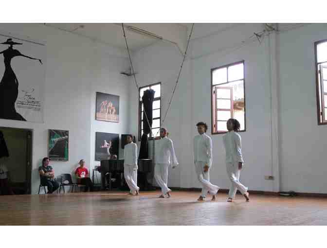 A V.I.P. TOUR OF ROMANTIC HAVANA FOR TWO + AIRFARE