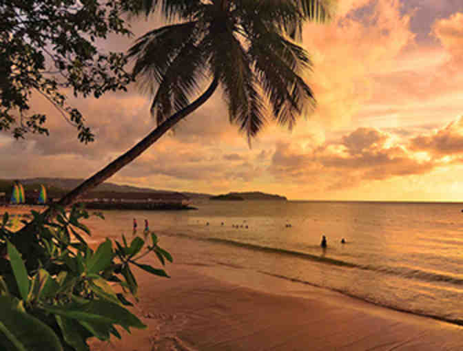 Spend a week at a resort in St. Lucia's gorgeous Morgan Bay