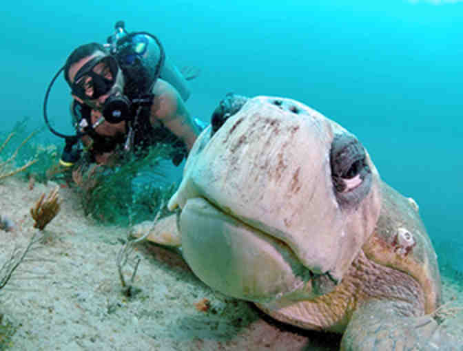 Sunshine and Scuba Vacation in West Palm Beach for Four
