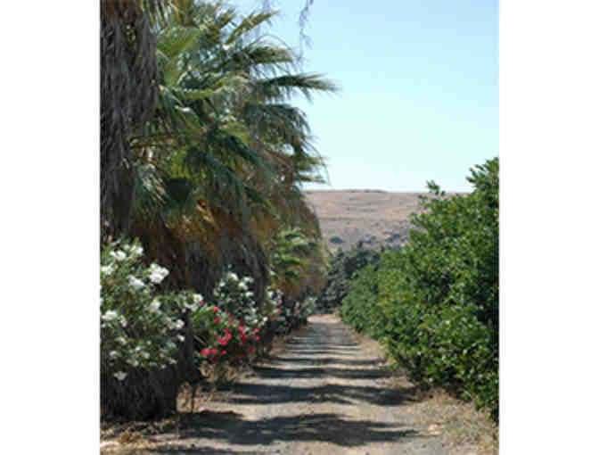 IL GIARDINO: An Unforgettable Week for Four, in a Magnificent Sicilian Villa, with Airfare