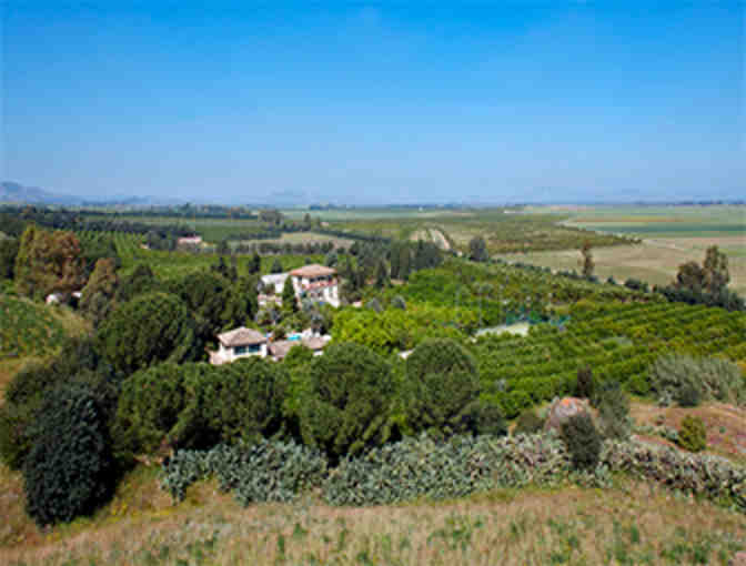IL GIARDINO: An Unforgettable Week for Four, in a Magnificent Sicilian Villa, with Airfare