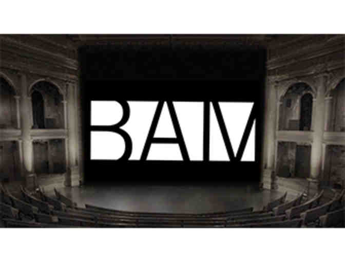 Membership at BAM - access a world of Theater, Dance, Music, Visual Art, and more!