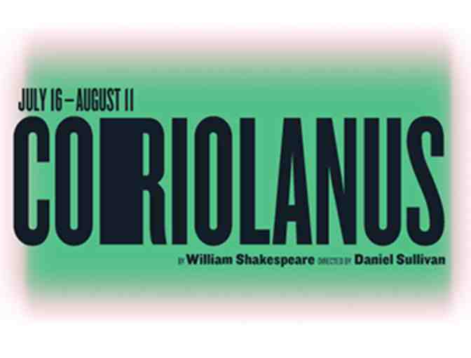 Two tickets to one of the 2019 productions from the annual SHAKESPEARE IN THE PARK