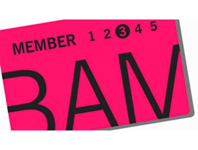 Brooklyn Theater Package - win memberships to BAM and St. Ann's Warehouse!