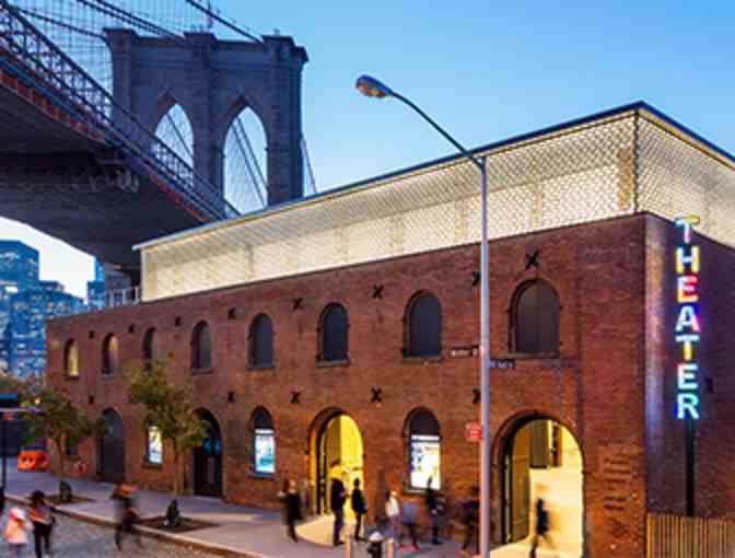 Brooklyn Theater Package - win memberships to BAM and St. Ann's Warehouse!