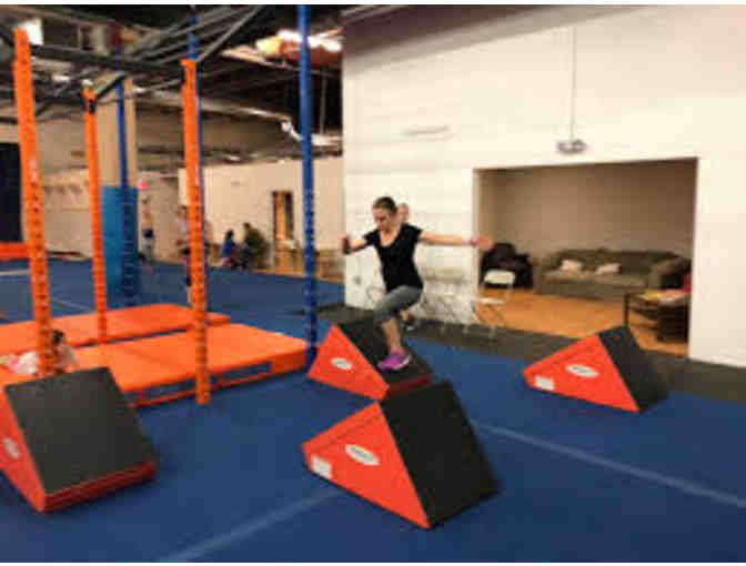 Not For Your Average Turtle: Your Chance to Be a Ninja