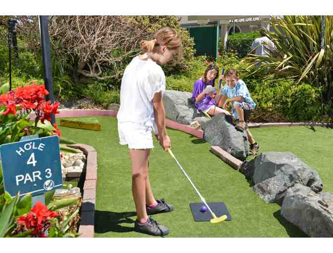McInnis Park Golf Center - mini golf and batting cages for 4 people