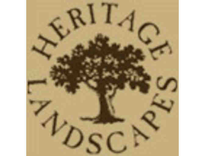 Heritage Landscape - 2-Hour Landscape Design Consultation