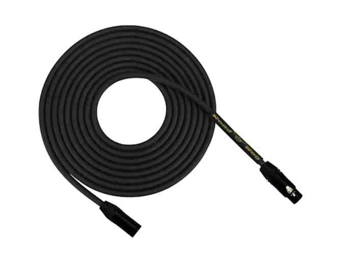 30ft Rapco XLR Mic Cable for TMS' Music Program