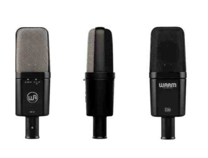 WA 14 Condenser Microphone for TMS' Music Program