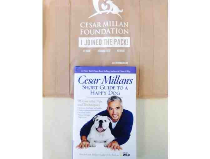 Cesar Millan 'The Dog Whisperer' (Mask With Added Premium Item)