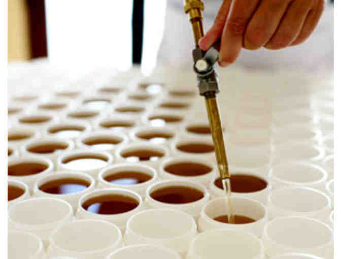 1 Jar of Sweet Bee Magic Healing Cream (2oz)